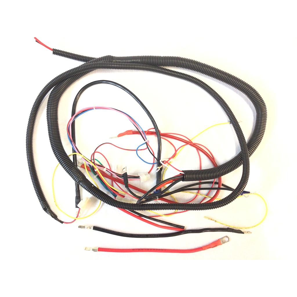 W11163 Complete Wiring Harness, DX20